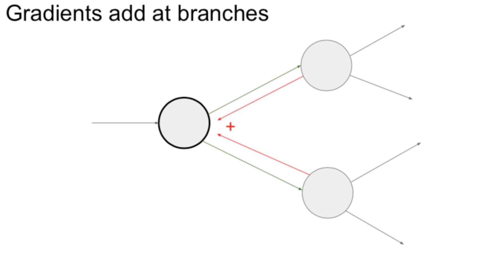 branch